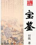 宝鉴小说全文阅读