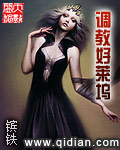 调教好莱坞明星小说