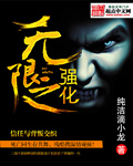 小说无限强化