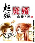 超级贤婿TXT全集下载