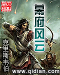 幕府风云电影百度云