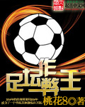 足坛作弊王之八