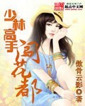少林高手入狱