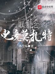 联盟之电竞莫扎特小说