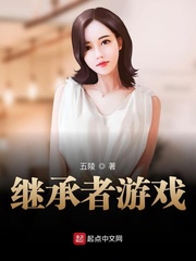 继承者游戏 小说