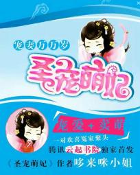 小说圣宠