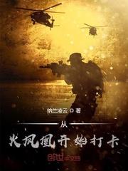 从火凤凰开始打卡 小说