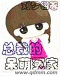 总裁的呆萌冤家小说