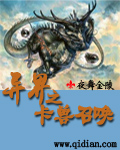 异界召唤之卡牌系统小说