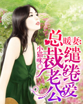 绯闻前妻免费阅读