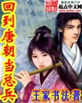 回到唐朝当将军的小说