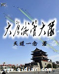 大唐城管大队 小说