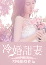 冷婚甜爱