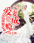 总裁独爱:爱妻成瘾免费阅读