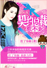 惹不起小说