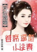 天价首席的逃妻 小说