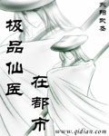 极品仙医在都市全文免费阅读叶辰