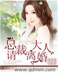 总裁大人请离婚雪衣王