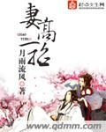 妻高一招免费阅读全文下载