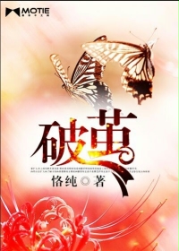 破茧而出