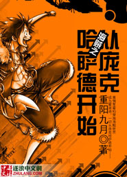 海贼之从庞克哈萨德开始免费