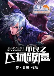 不良之风云再起 小说