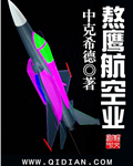 熬鹰航空业TXT下载