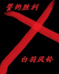 誓约胜利之剑日语怎么说