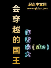 会穿越的国王txt校对版