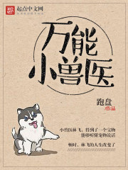 万能小兽医 跑盘
