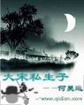 《大宋偷香》免费阅读