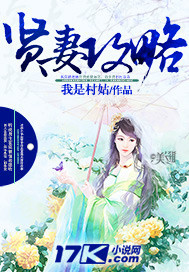 贤妻攻略 小说