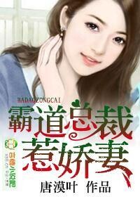 霸道总裁惹娇妻的小说