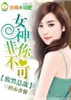 女神非你不可下载