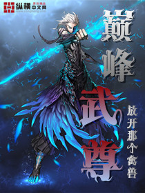 巅峰武尊是全区排名前300吗