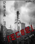 沦落日记下载