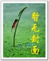 中国四大神医