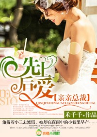 先有后爱 小说