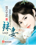 辣妻奋斗在八零年代 小说