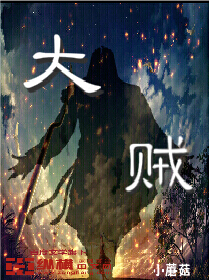 《惊天大贼王》