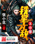 铁掌无敌王小军百度网盘