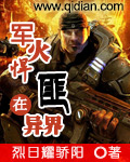 军火悍匪在异界TXT下载