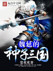 魏延的种子三国 小说