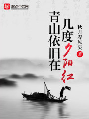 青山依旧在几度夕阳红作者