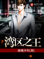 湾区之王精校txt