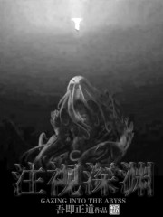 注视深渊吾即正道