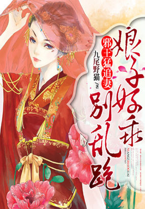 邪王猛追妻:娘子好乖别乱跑小说