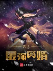 史上最强赘婿沈浪小说