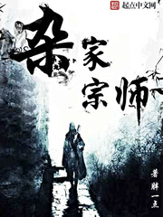 杂家宗师TXT下载