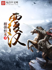 覆汉小说